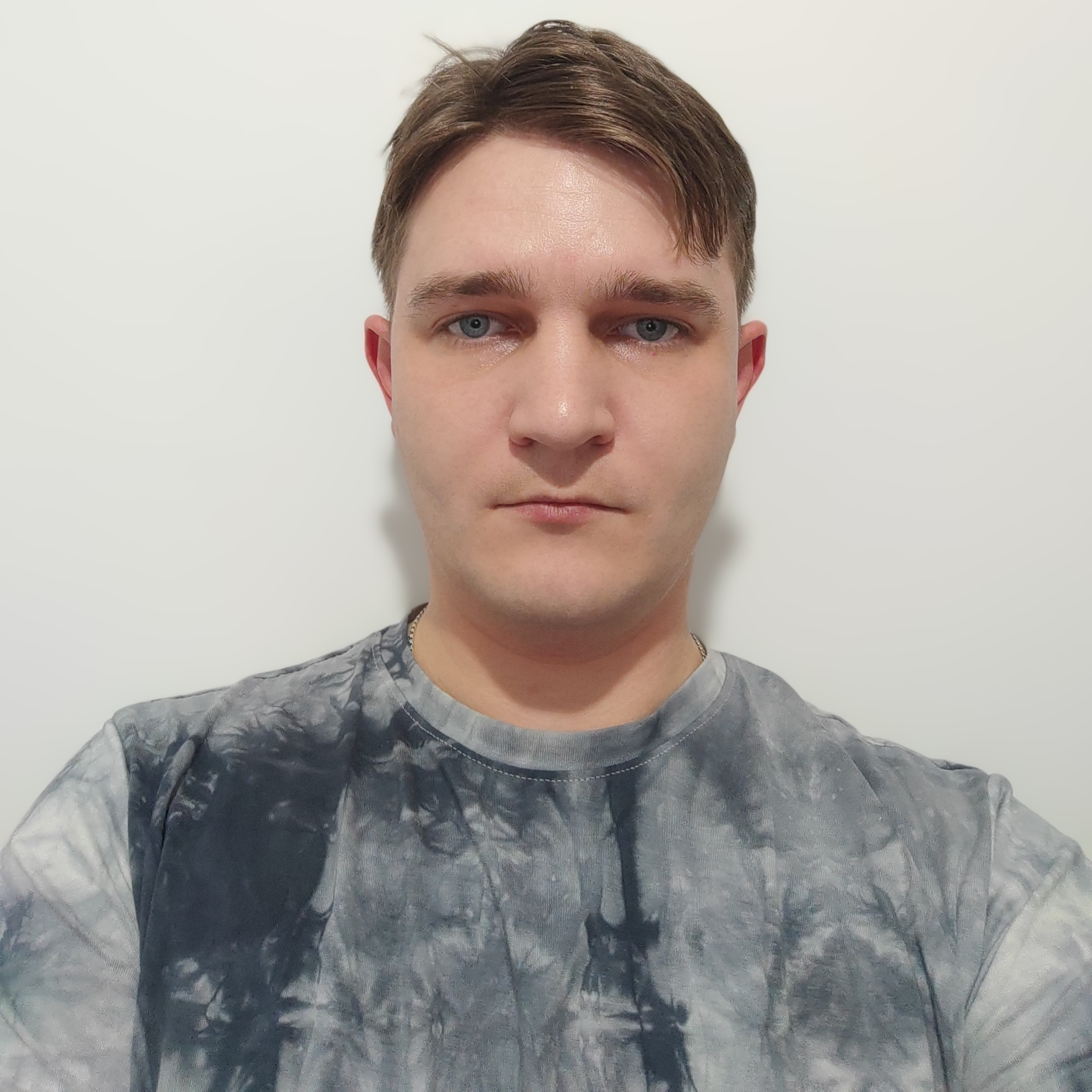 Гаршин Алексей Николаевич, Руководитель проектов;